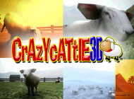 Play Crazy Cattle 3D