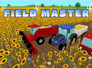 Play Field Master